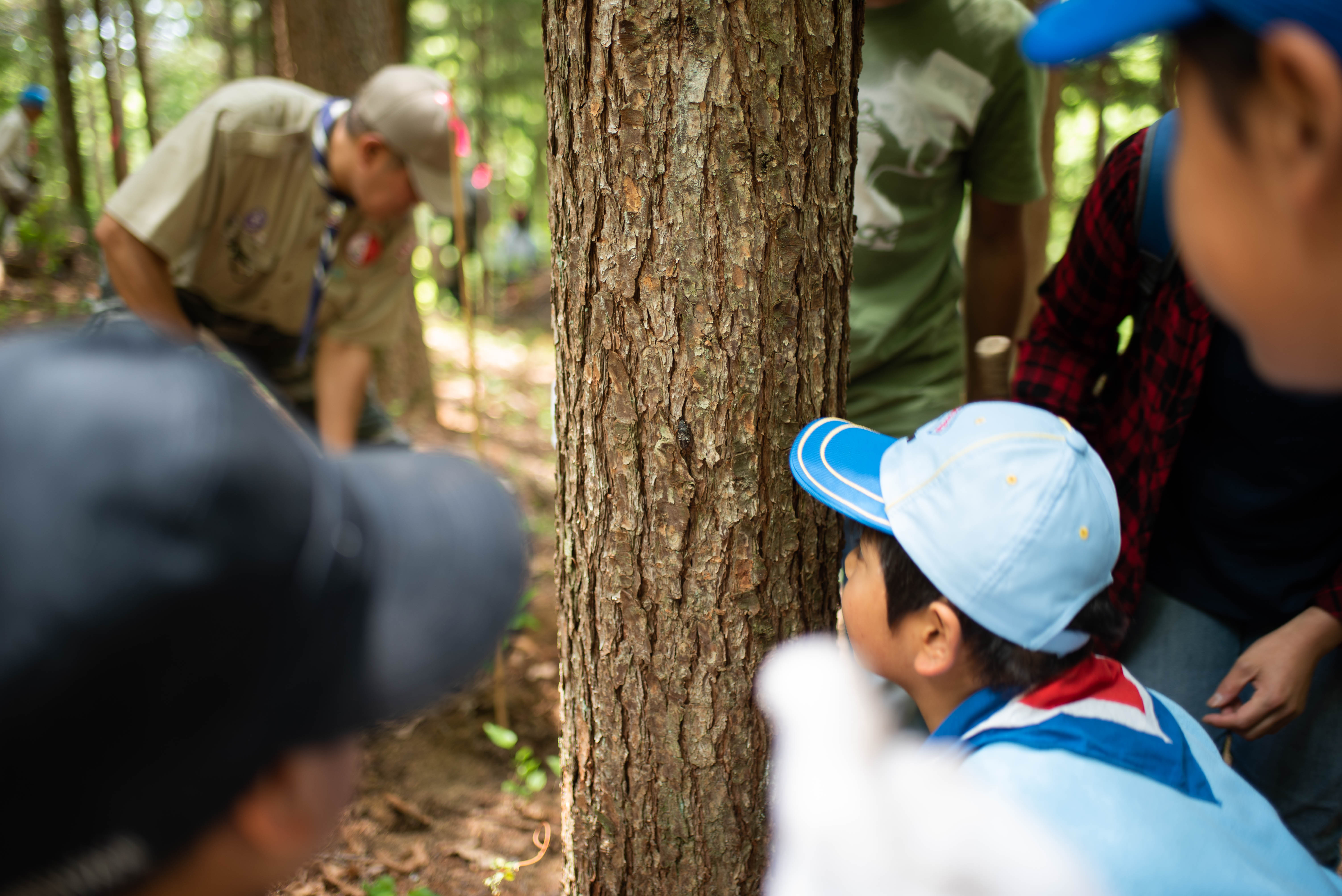ビーバー隊の活動写真