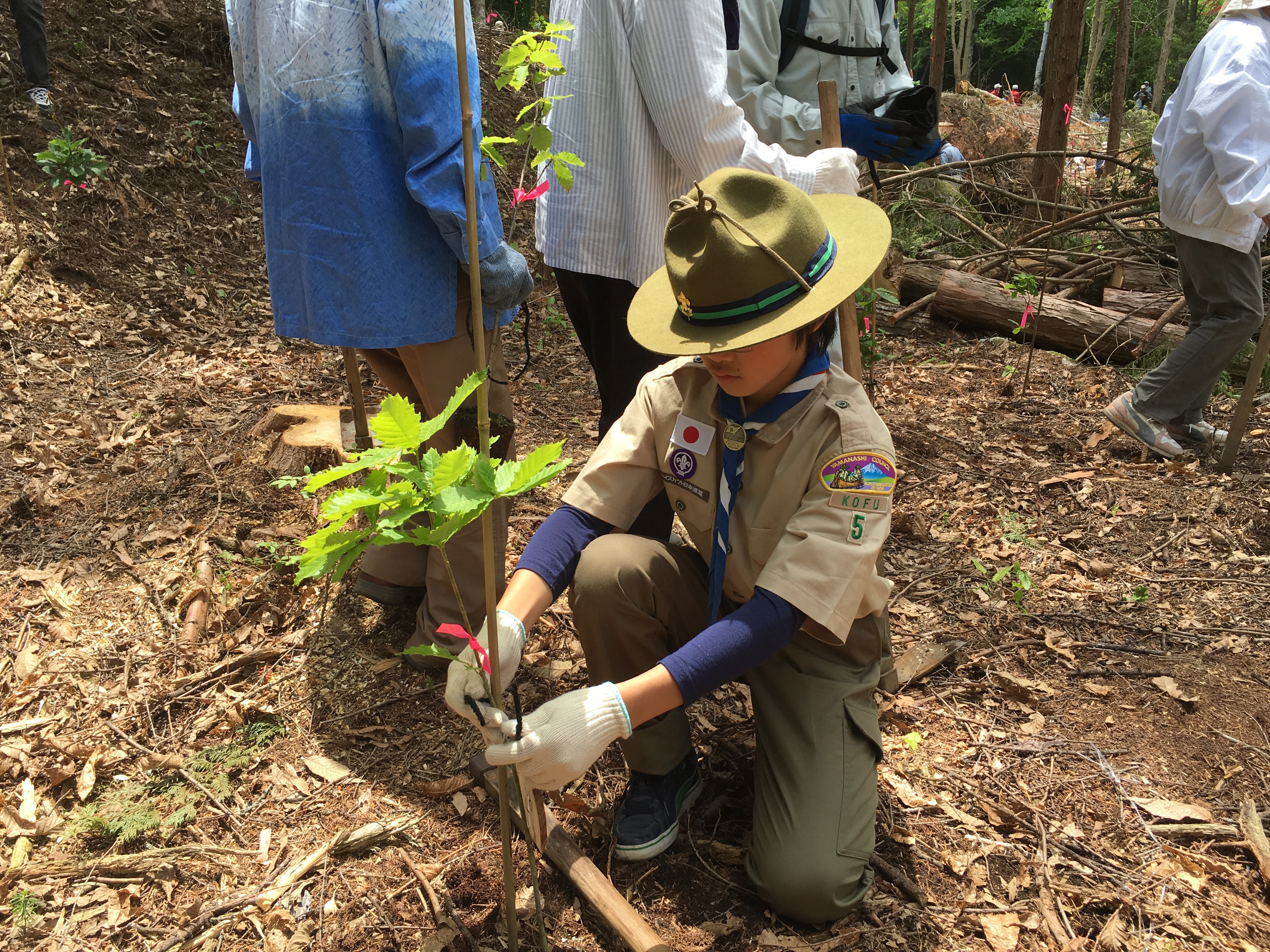 ボーイ隊の活動写真